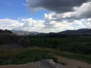 IMG_0554