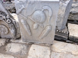 IMG_0605