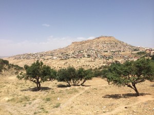 IMG_0834