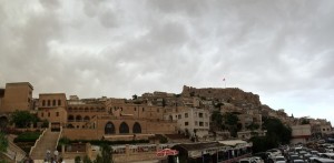 IMG_0997